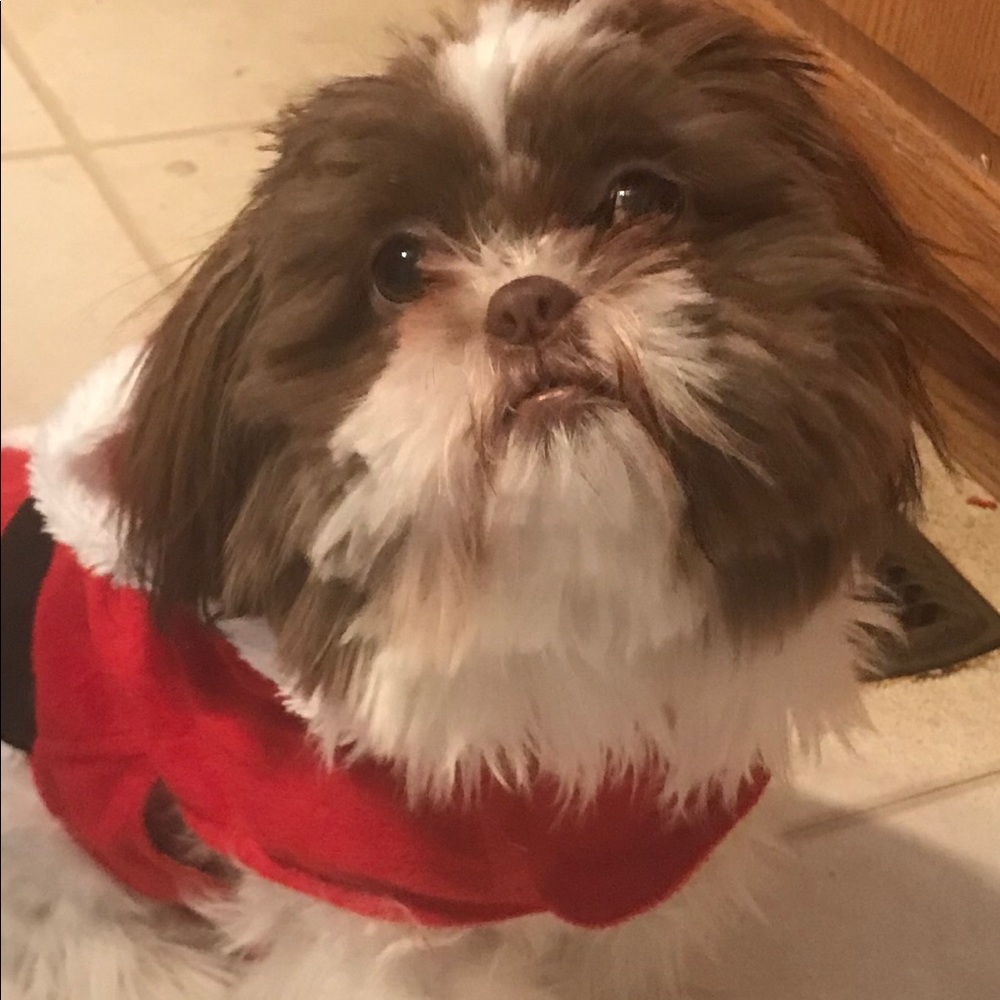 Meet your Posher, Michele